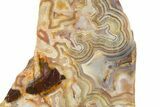 Free-Standing, Polished Crazy Lace Agate Section - Mexico #314726-1